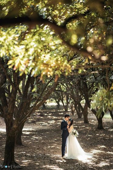 [ Đà Lạt ] Prewedding : Thịnh - Loan - Glow Studio - Hình 9