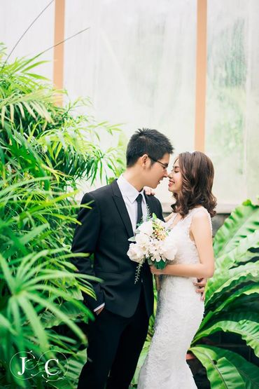 Ảnh cưới đẹp phim trường - J&amp;C Bridal - Hình 6