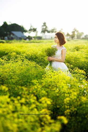 album hồ cốc - CHAN Bridal - Hình 78