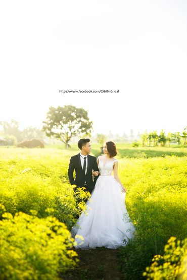 album hồ cốc - CHAN Bridal - Hình 82