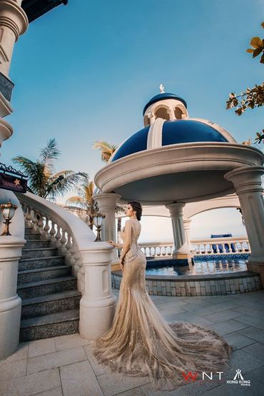 Mùa hoa cưới - Lan Rừng resort  Phước Hải Beach - Hình 19