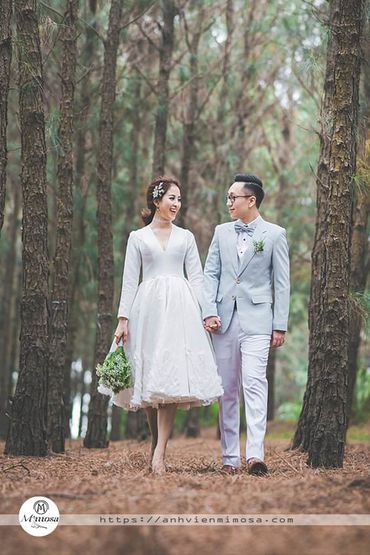 Album ảnh cưới đẹp tại Đại Lại resort flamingo Mimosa Wedding - Mimosa Wedding - Hình 21