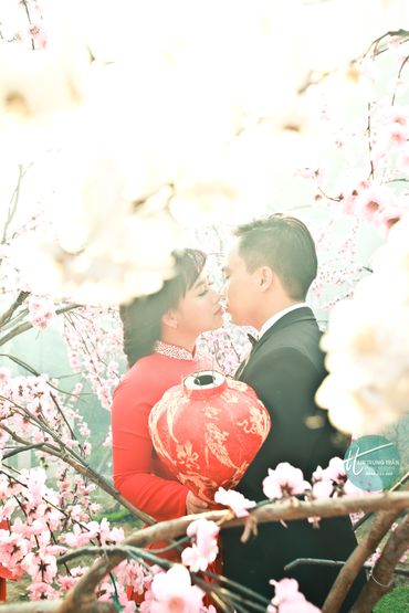 Album Ảnh Cưới Đẹp - Mr ' Trung Trần Wedding - Hình 3