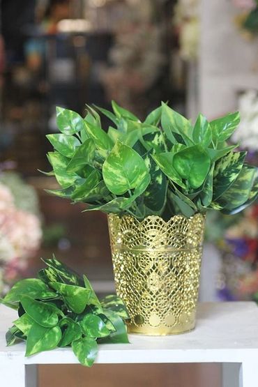 Hoa vải cao cấp - Midori Shop - Phụ kiện trang trí ngành cưới - Hình 56