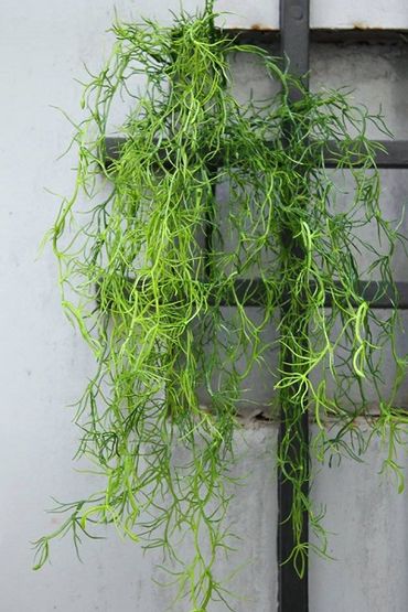 Hoa vải cao cấp - Midori Shop - Phụ kiện trang trí ngành cưới - Hình 74