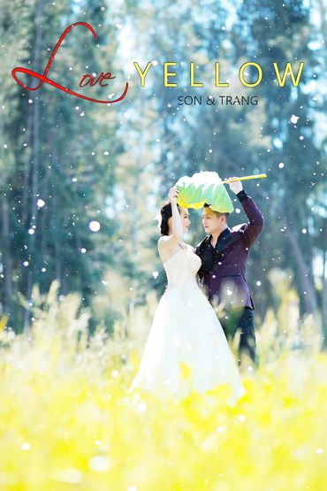 Album cưới Phan Thiết - Wedding2N - Hình 20