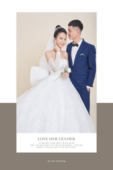 Phông Hàn Quốc - REX WEDDING - Hình 2