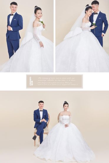 Phông Hàn Quốc - REX WEDDING - Hình 4