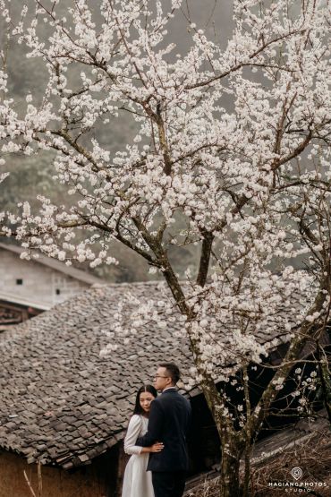 Pre-wedding Ha Giang - Ha Giang Photos - Studio - Hình 128