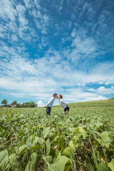 Album ảnh cưới Phan Thiết - Venus Bridal - Hình 23