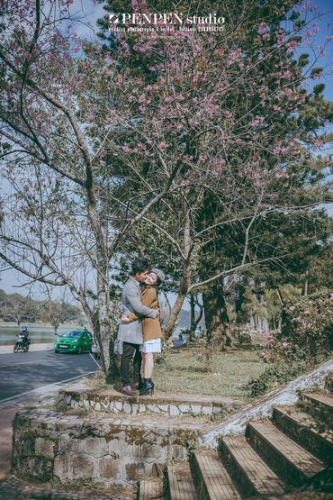 Ảnh cưới Đà Lạt mùa hoa anh đào - PENPEN Studio - Hình 2