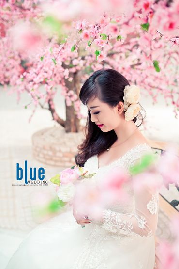 Ảnh Cưới Phim Trường | BLUE WEDDING PHOTO - Blue Wedding Photo - Hình 5