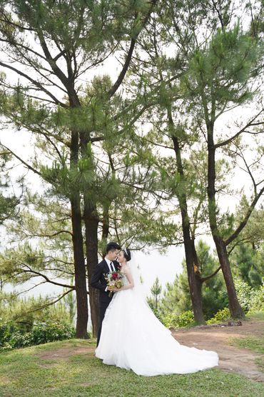 Rừng thông Hải Vân - Sweet Bouquet Bridal - Hình 22