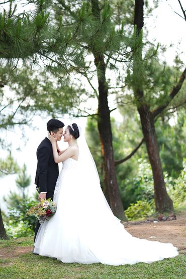 Rừng thông Hải Vân - Sweet Bouquet Bridal - Hình 12