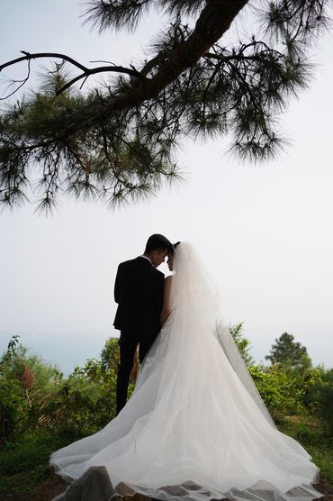 Rừng thông Hải Vân - Sweet Bouquet Bridal - Hình 21