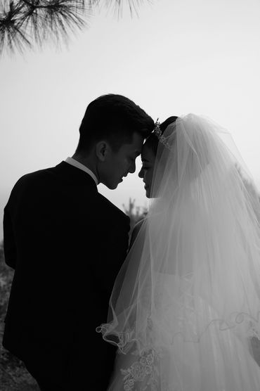 Rừng thông Hải Vân - Sweet Bouquet Bridal - Hình 1