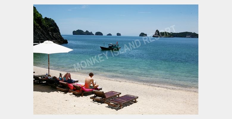 Cat Ba Monkey Island Resort - Hình 3