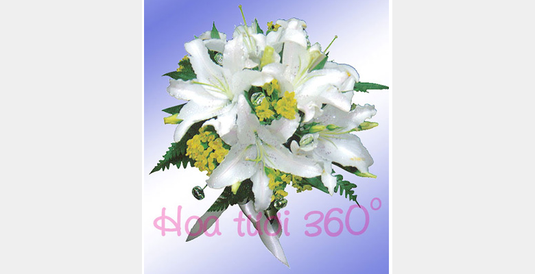 Vinaflower 360 - Quận Bình Thạnh - Thành phố Hồ Chí Minh - Hình 2