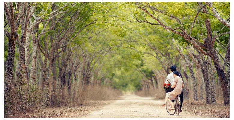 ZoomStudio - Quận Gò Vấp - Thành phố Hồ Chí Minh - Hình 5