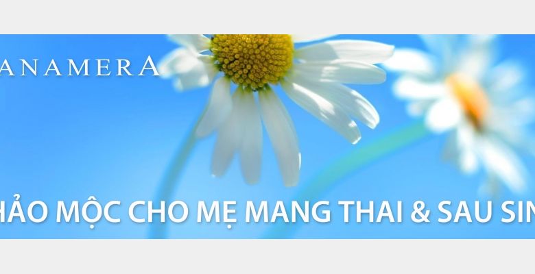 Tamera Việt Nam - Quận Phú Nhuận - Thành phố Hồ Chí Minh - Hình 2