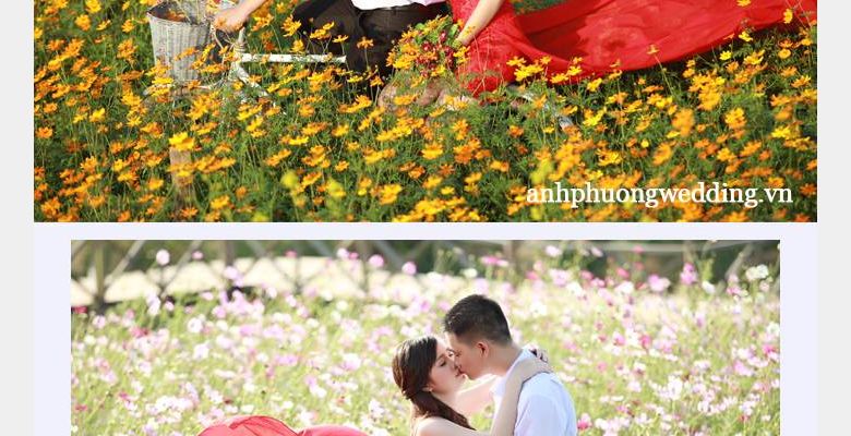 Anh Phương Wedding - Hình 2