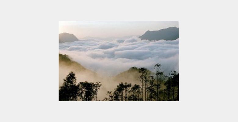 Công ty TNHH Du lịch Giấc Mơ Việt - Dream Travel Co., Ltd - Hình 3