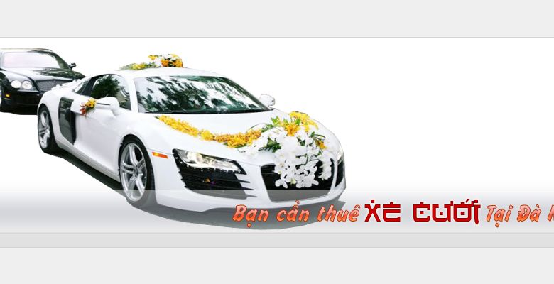 Xe cưới Phú Mỹ Phát - Quận Cẩm Lệ - Thành phố Đà Nẵng - Hình 3