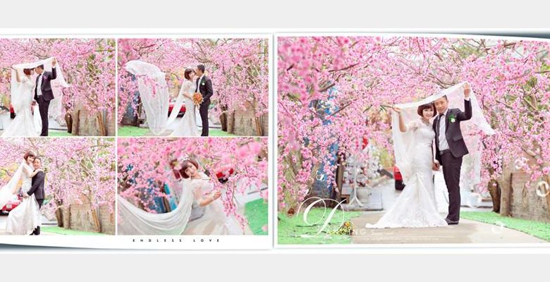 Studio Thảo Nguyên - Thành phố Bắc Giang - Tỉnh Bắc Giang - Hình 6