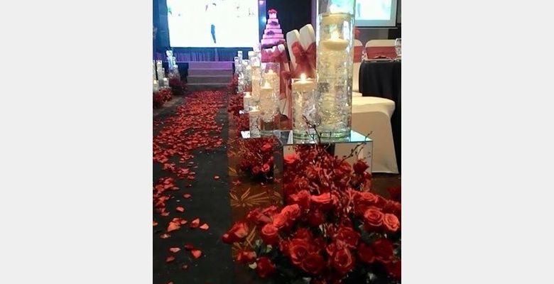 TNT Wedding House - Quận 3 - Thành phố Hồ Chí Minh - Hình 5