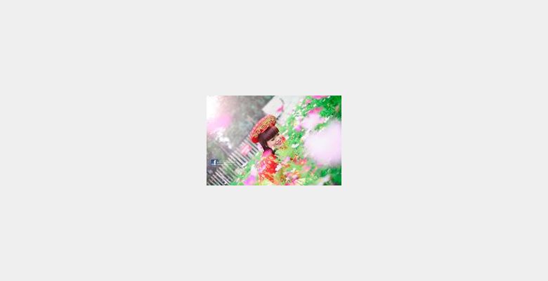 Vic Studio - Hình 3