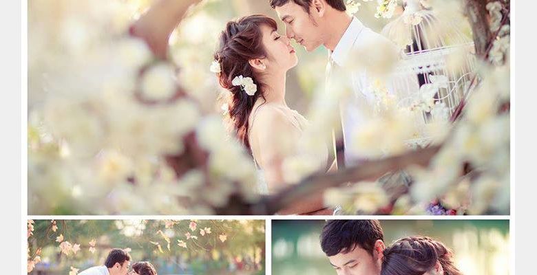Áo cưới Thiên Long - Huyện Quỳnh Lưu - Tỉnh Nghệ An - Hình 1
