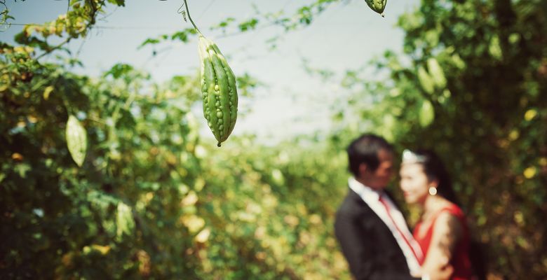 Henry Wedding Photo - Quận Tân Phú - Thành phố Hồ Chí Minh - Hình 5