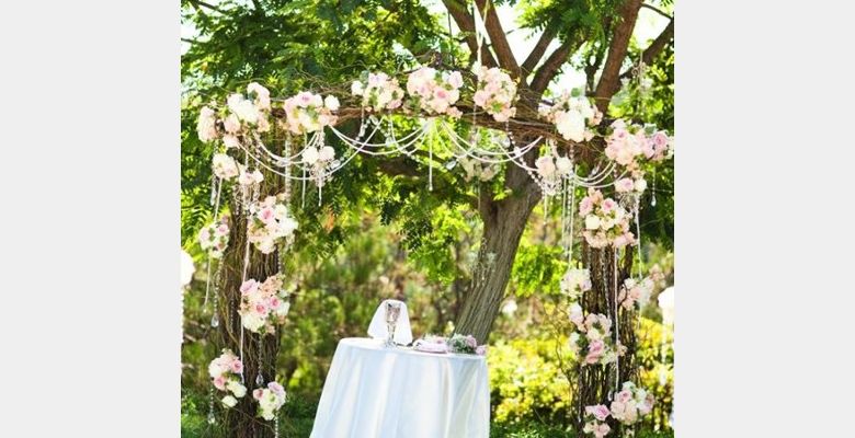 Chino Wedding - Quận Hải Châu - Thành phố Đà Nẵng - Hình 4