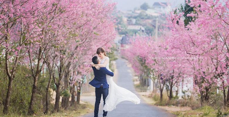 Quốc Mạnh Photographer - Thành phố Đà Lạt - Tỉnh Lâm Đồng - Hình 8