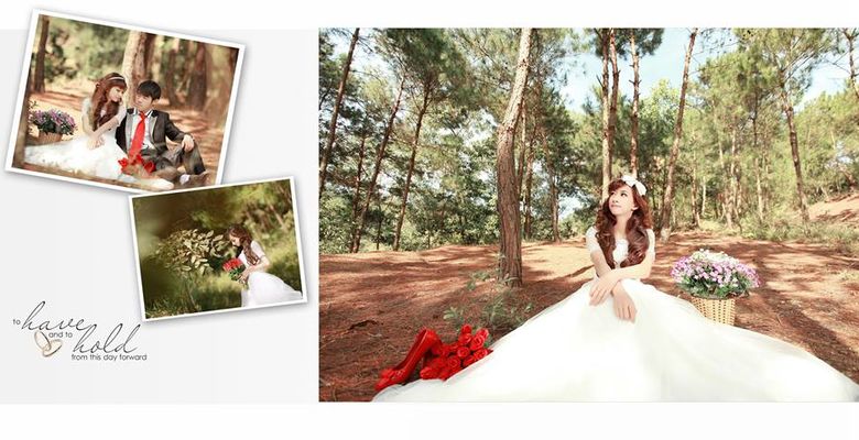 Wedding Studio - Thành phố Lạng Sơn - Tỉnh Lạng Sơn - Hình 3