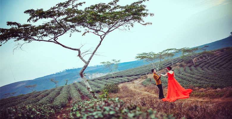 KyNguyen Wedding Photography - Quận Tân Bình - Thành phố Hồ Chí Minh - Hình 1