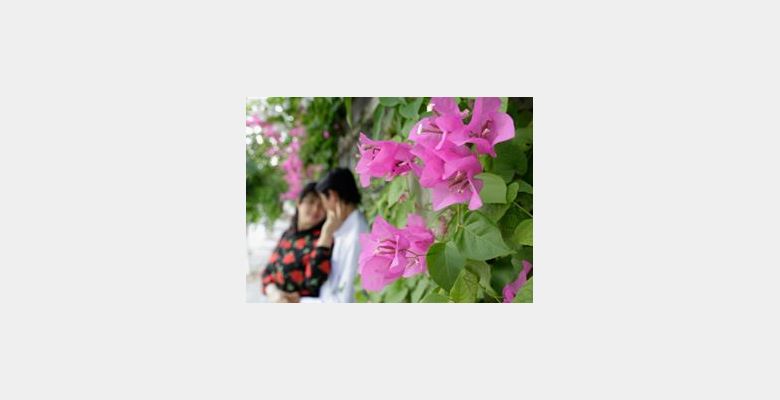 Vu Quyen Photography - Quận Ninh Kiều - Thành phố Cần Thơ - Hình 2