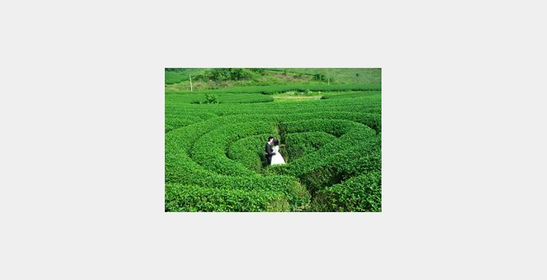 Ms Kim Wedding Studio - Quận Lê Chân - Thành phố Hải Phòng - Hình 2