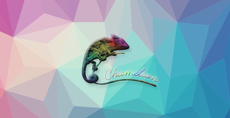 Chameleon Film Vietnam - Hình 1