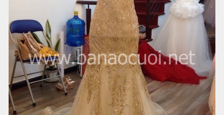 Váy cưới Cát Tiên - Quận 1 - Thành phố Hồ Chí Minh - Hình 5