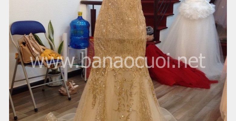 Váy cưới Cát Tiên - Quận 1 - Thành phố Hồ Chí Minh - Hình 5