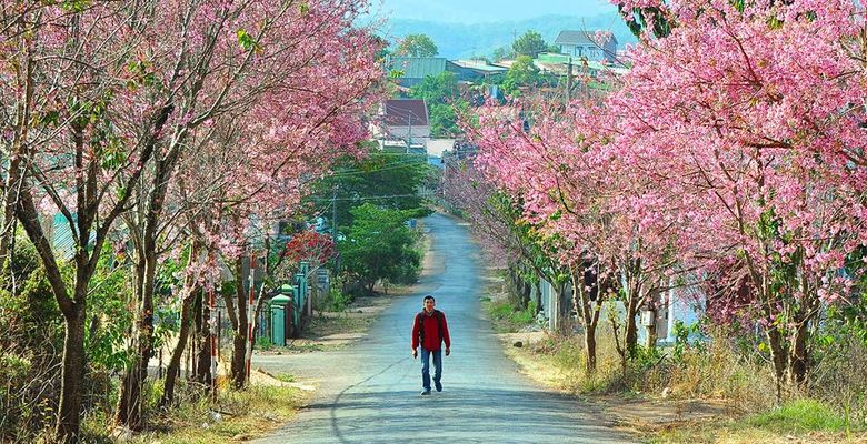 Dalat Discovery Travel - Tour du lịch trăng mật Đà Lạt - Thành phố Đà Lạt - Tỉnh Lâm Đồng - Hình 1