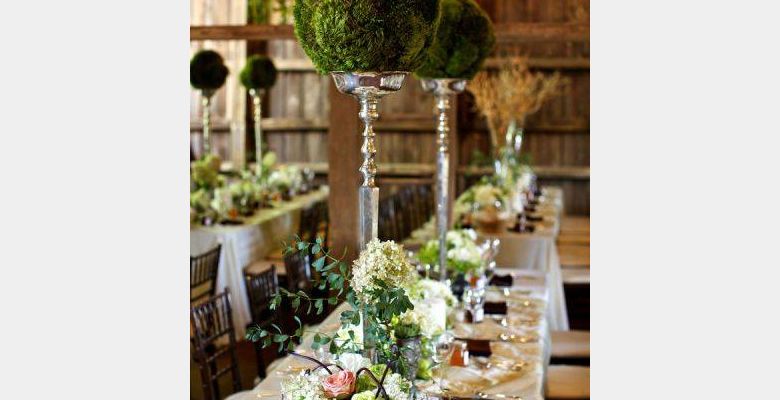 Elegant Event & Wedding Planners - Quận 1 - Thành phố Hồ Chí Minh - Hình 3