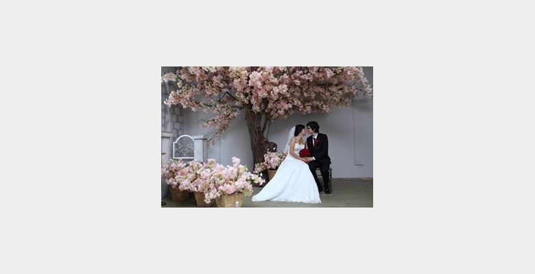 Áo cưới Honey's Bridal - Quận Phú Nhuận - Thành phố Hồ Chí Minh - Hình 4