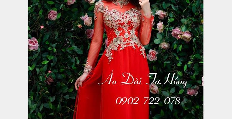 Áo dài bưng mâm quả Tơ Hồng - Quận Tân Bình - Thành phố Hồ Chí Minh - Hình 3