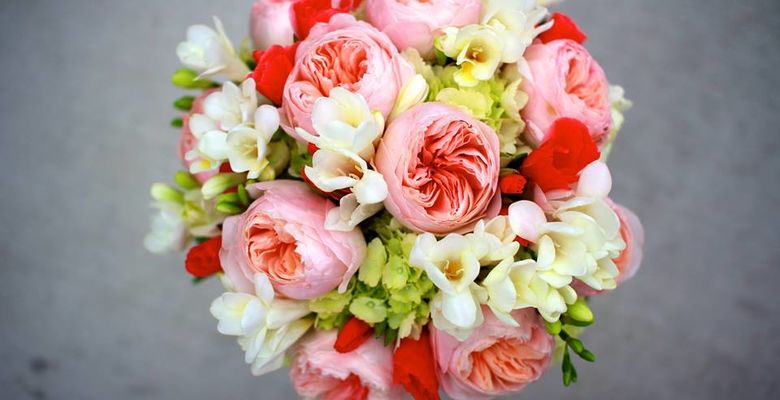Florist - Quận 1 - Thành phố Hồ Chí Minh - Hình 1