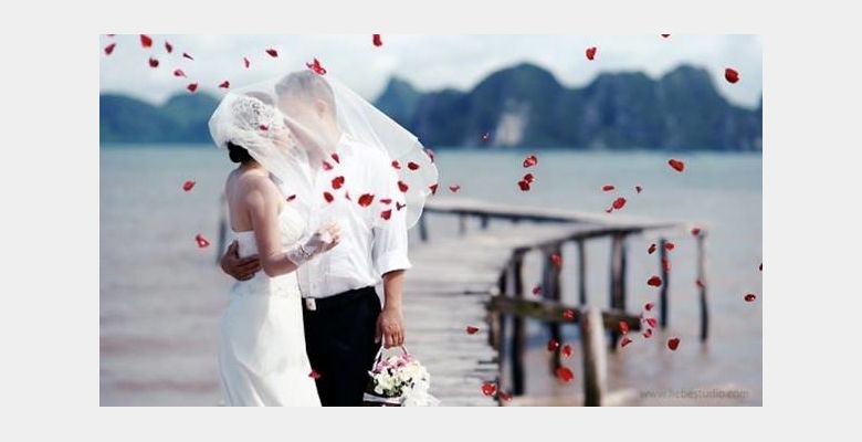 Unique Wedding Planning - Quận Gò Vấp - Thành phố Hồ Chí Minh - Hình 1