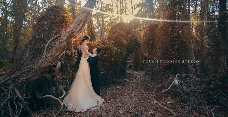 Touch Wedding Studio - Quận Bình Thạnh - Thành phố Hồ Chí Minh - Hình 4