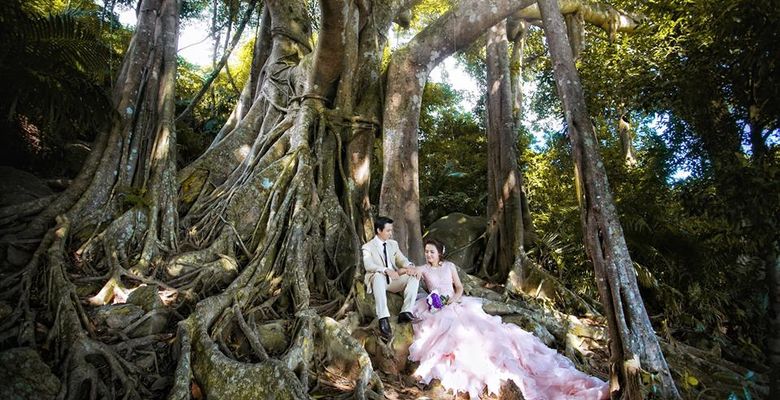Thúy Wedding - Huyện Hòa Vang - Thành phố Đà Nẵng - Hình 1