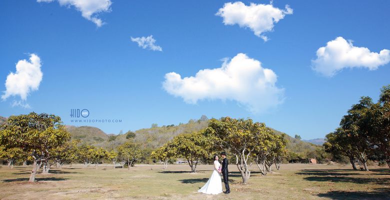 HIDO photography - Thành phố Nha Trang - Tỉnh Khánh Hòa - Hình 4